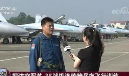 深圳飞行员爆料事件视频,揭秘航班安全与内部管理疑云